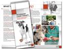 Veterinary Brochures